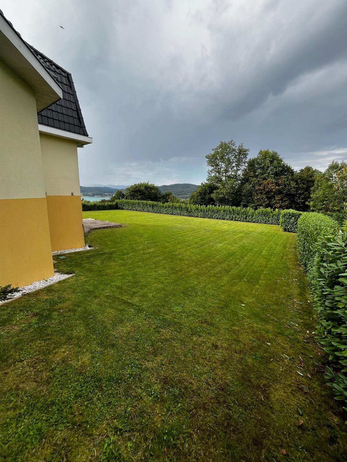 Frisch gemähter Rasen und geschnittene Hecke