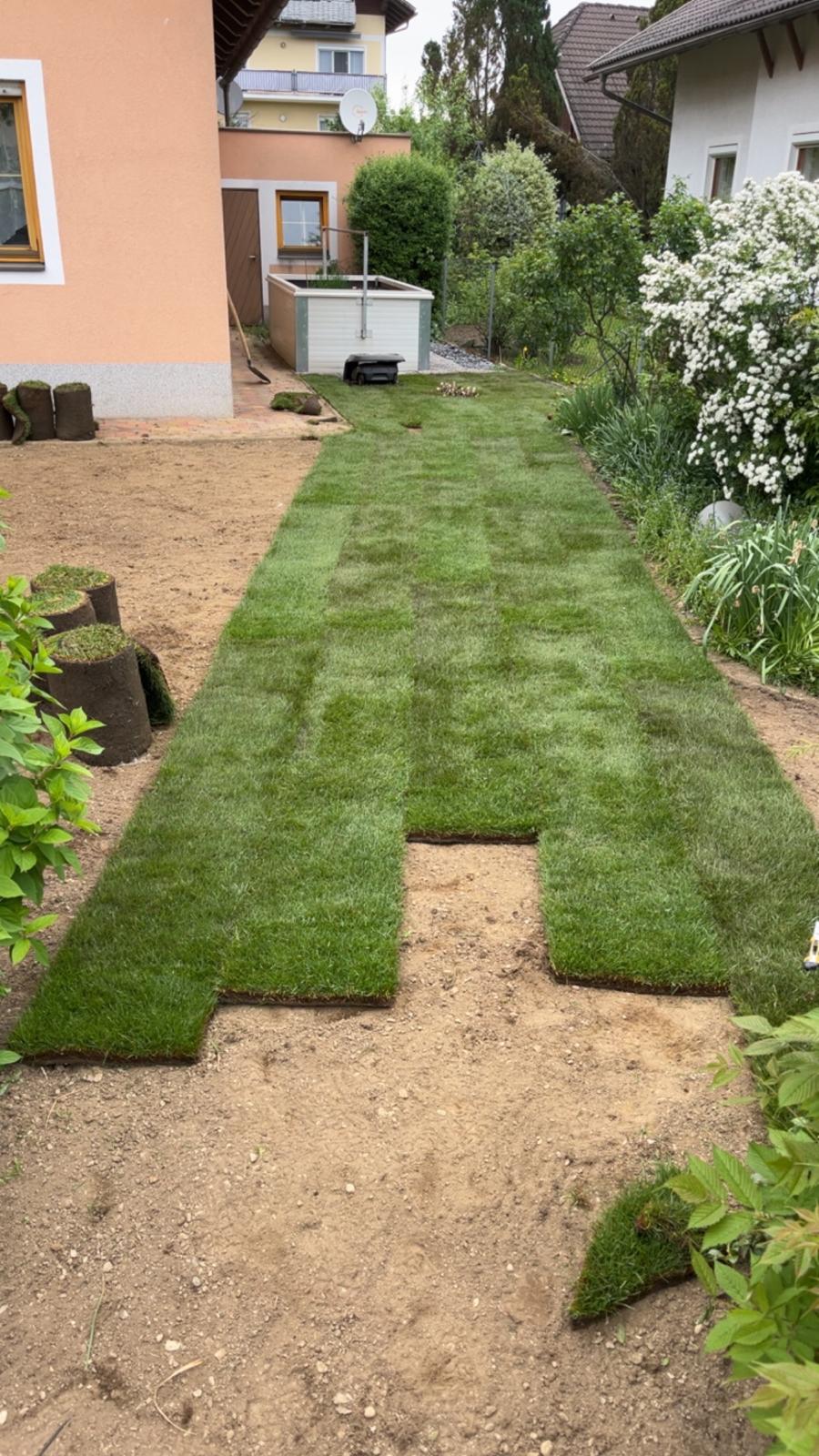 Verlegung eines neuen Rollrasens im Garten